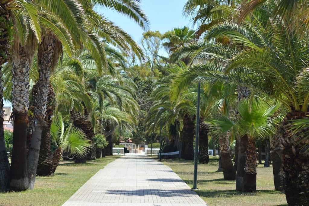 Calme, Mer, Piscines.son Xoriguer Quiet Apartment, Sea, Swimming Pools. *